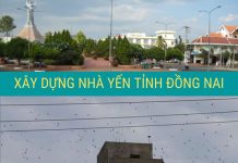 Tham khảo cách xây nhà nuôi yến và rủi ro gặp phải Cách xây nhà nuôi yến